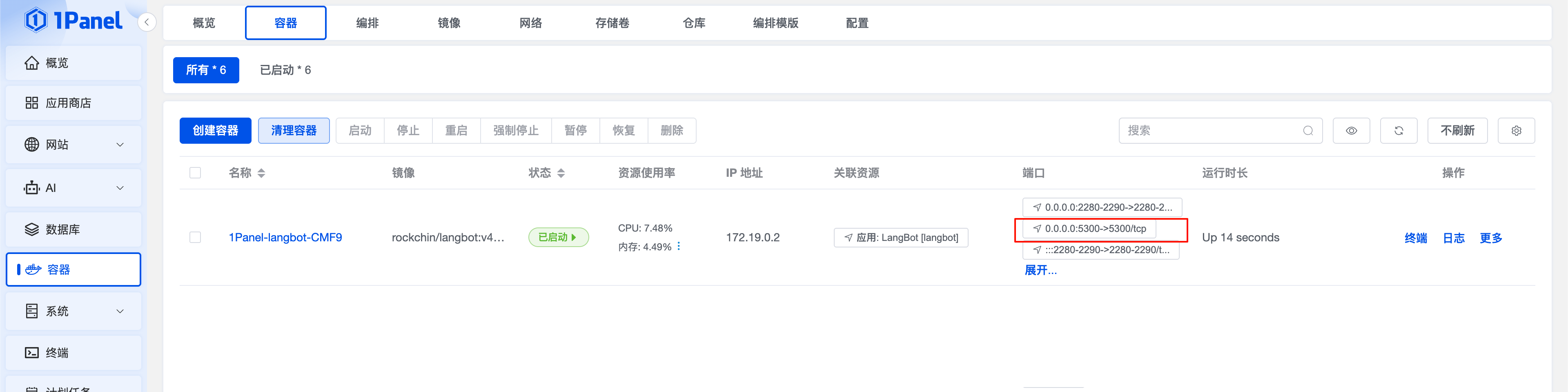 查看 LangBot 容器信息